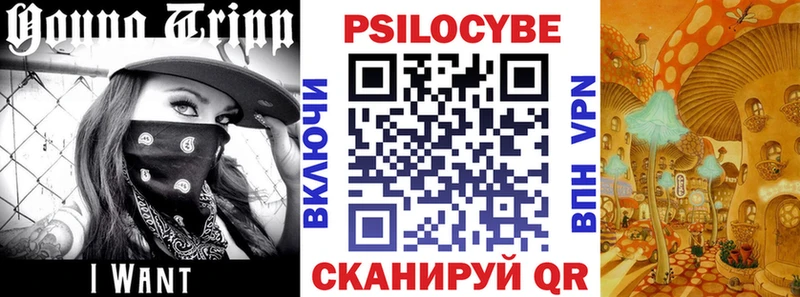 Галлюциногенные грибы мицелий  hydra вход  Новопавловск 